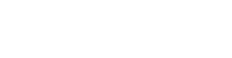 Boxer logo